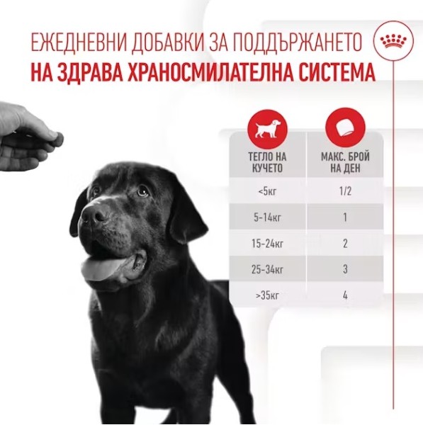 Royal Canin Adult Dog Supplement Digestion - Хранителна добавка за кучета в зряла възраст за по-добро храносмилане 160 гр